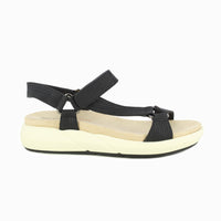 31403 Black