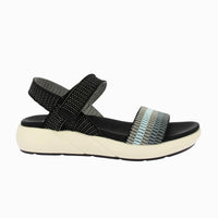 31411 Negro