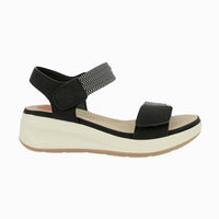 31612 Black