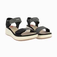 31612 Black