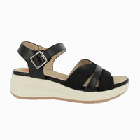 31617 Negro