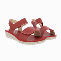 35315 Red