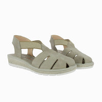 35336 Taupe
