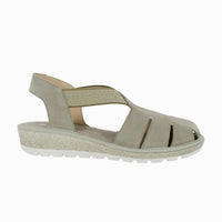 35336 Taupe