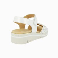 36140 White
