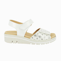 36140 White