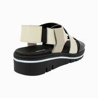 36145 C.Black