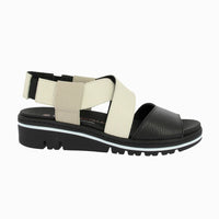 36145 C.Black