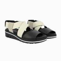 36145 C.Black