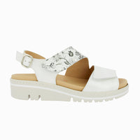 36147 Blanco