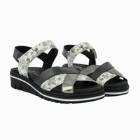 36149 Negro