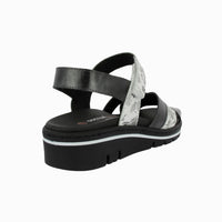 36149 Negro