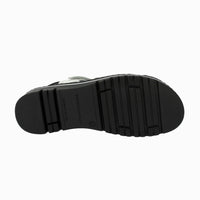 36149 Negro