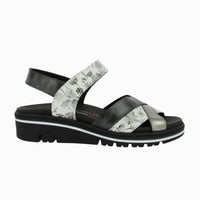 36149 Negro