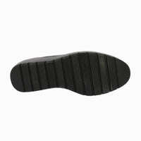 45421 Negro