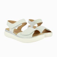 46012 White