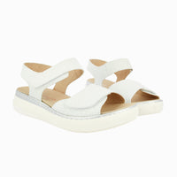 46012 White