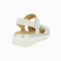 46012 White