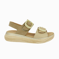 46019 Taupe
