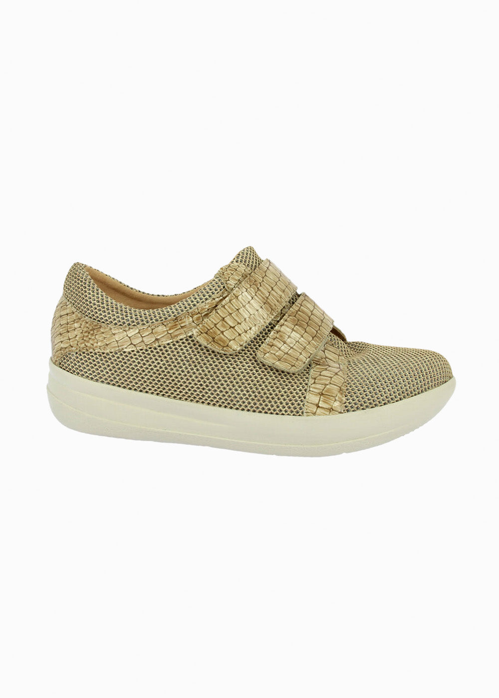 50275 Camel