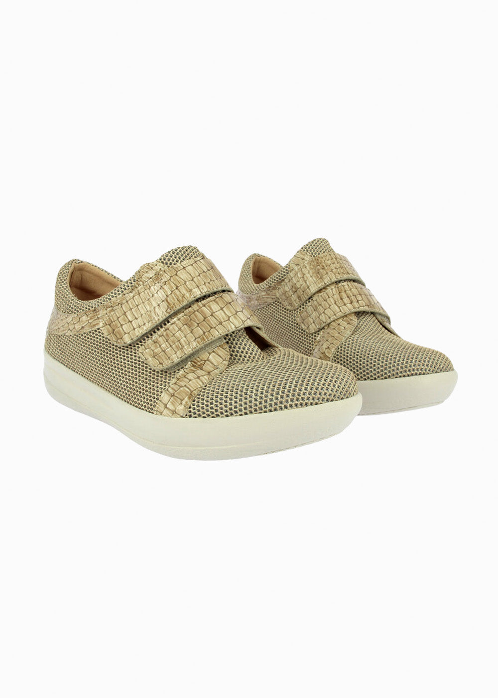 50275 Camel