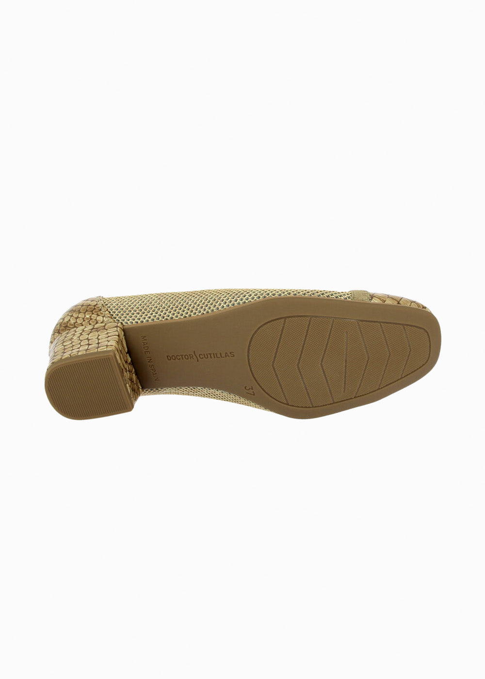 81239 Camel