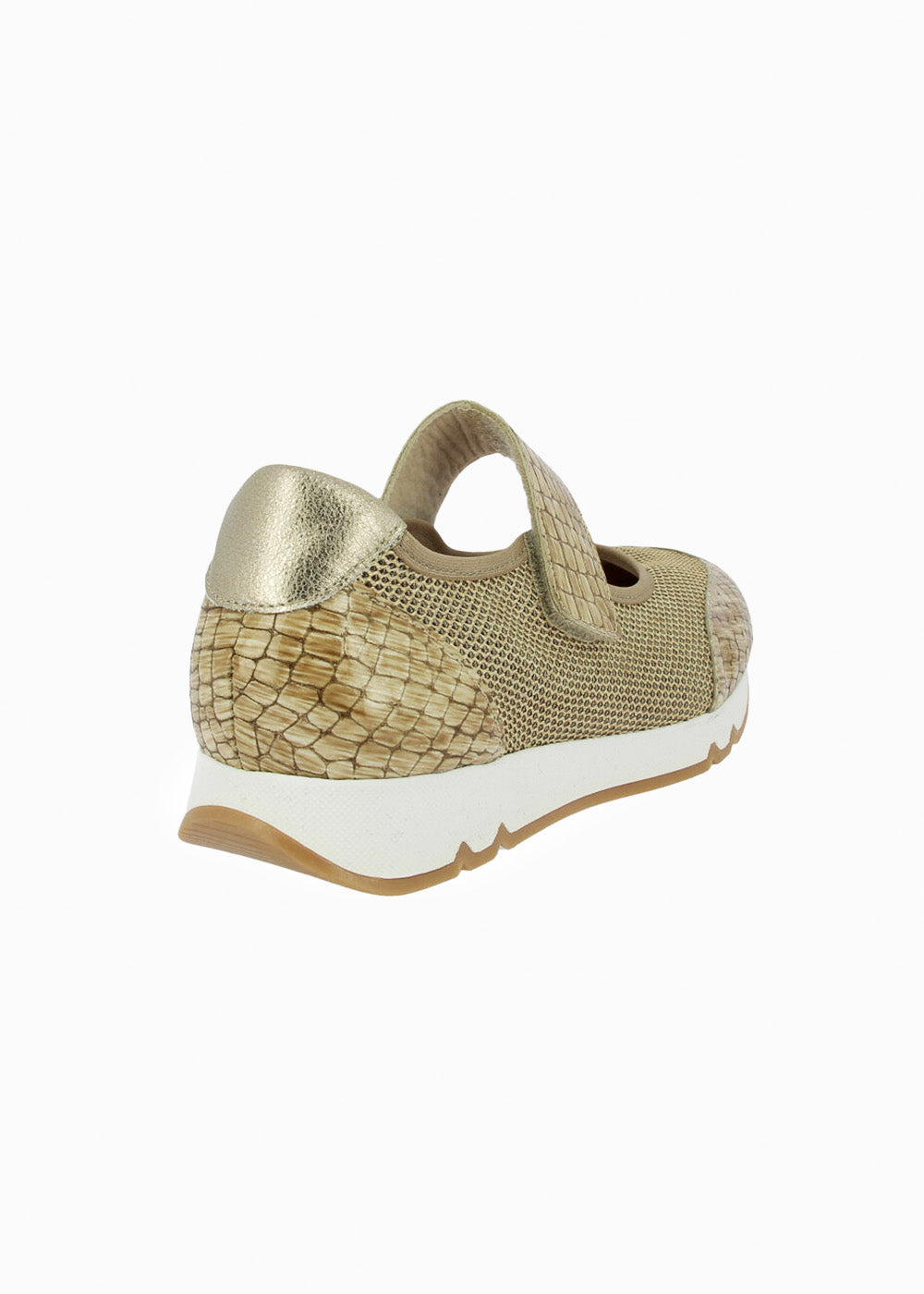 82556 Camel