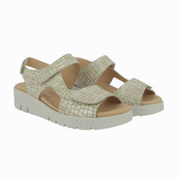 36134 Perla