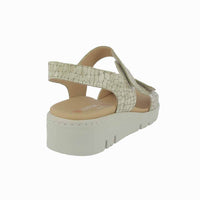 36134 Perla