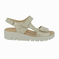 36134 Perla