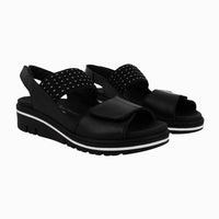 36136 Black