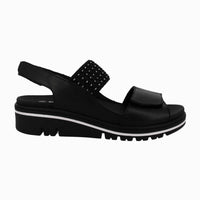 36136 Black