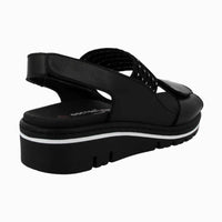 36136 Black