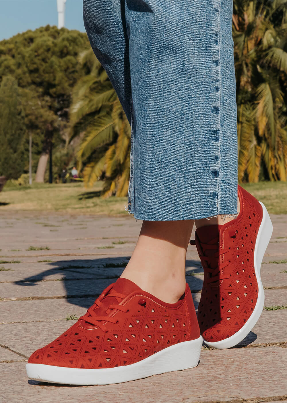 38469 Rojo