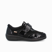 43520 Negro