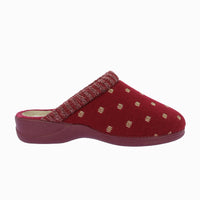 21679 Burdeos