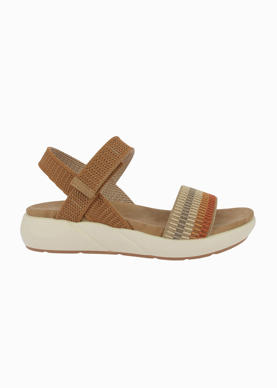 31411 Camel