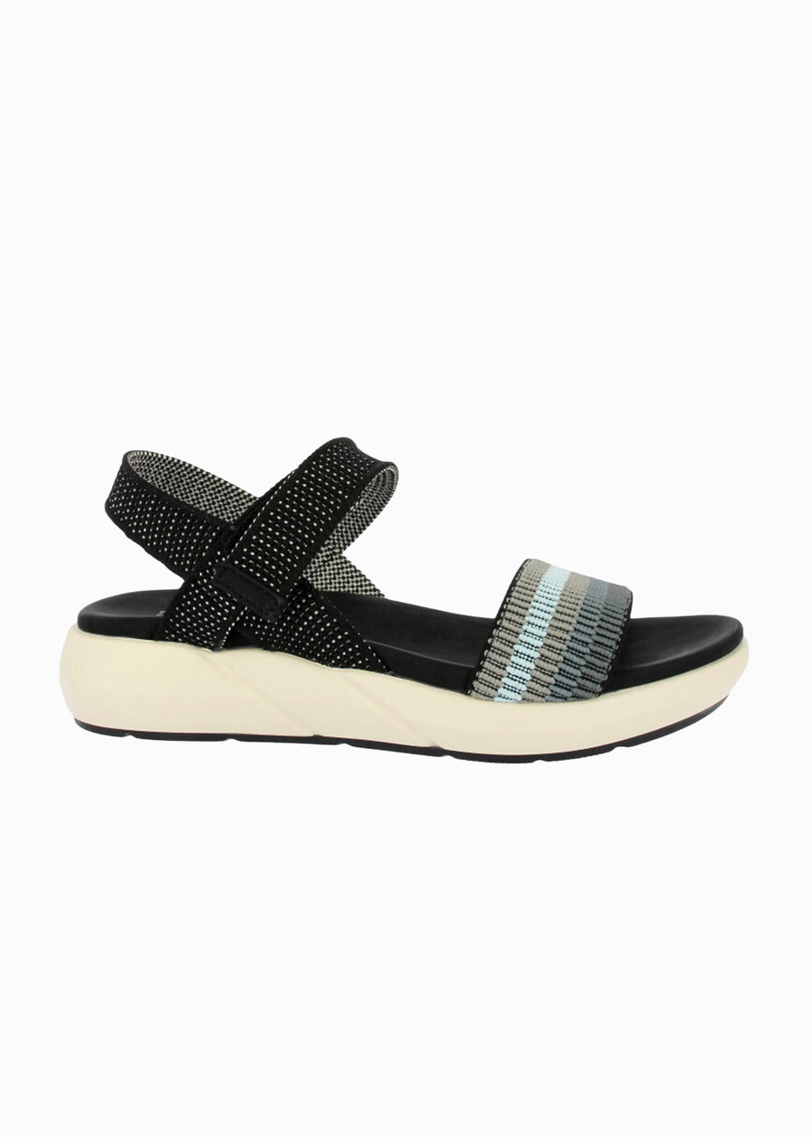 31411 Negro