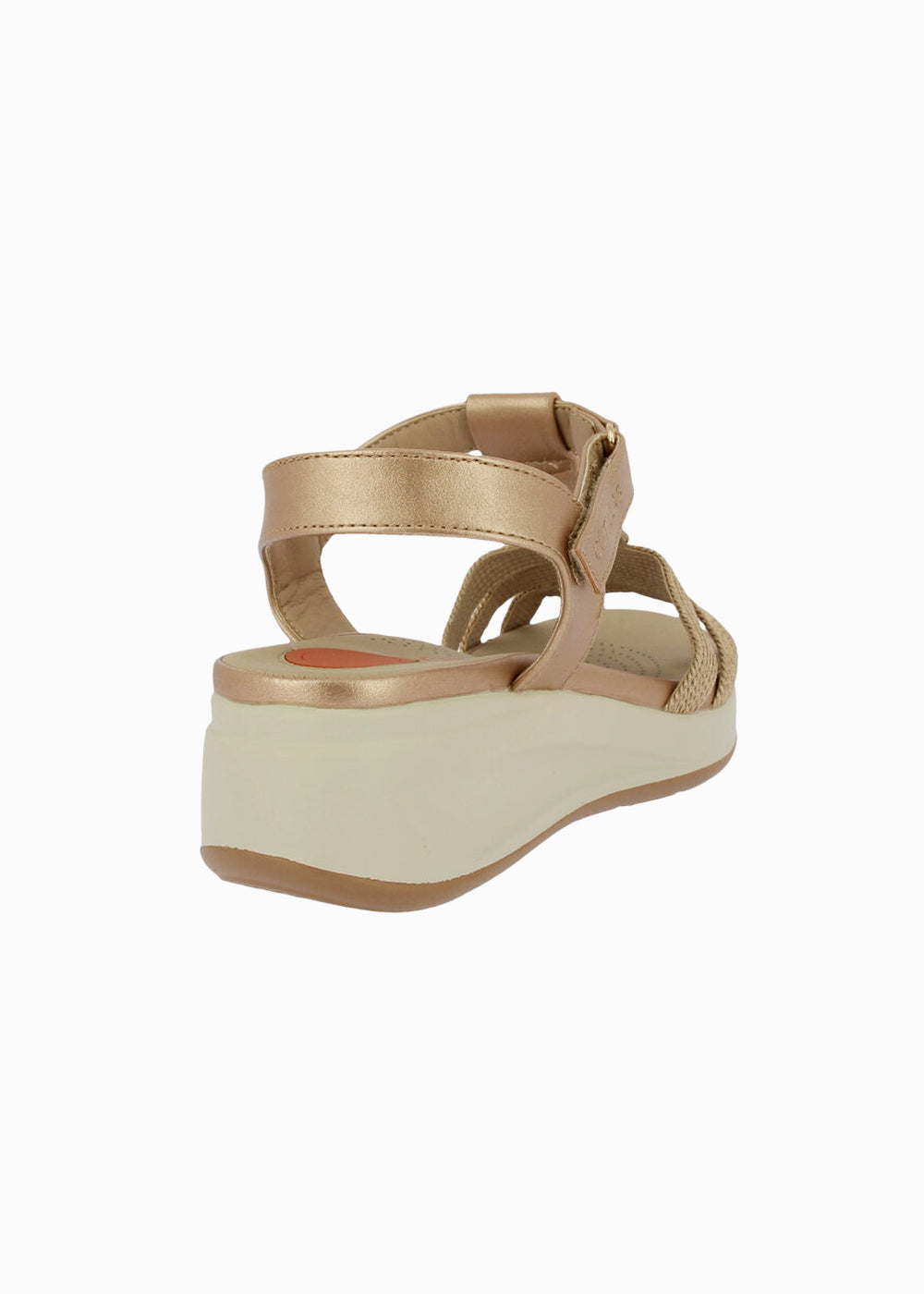 31616 Bronce