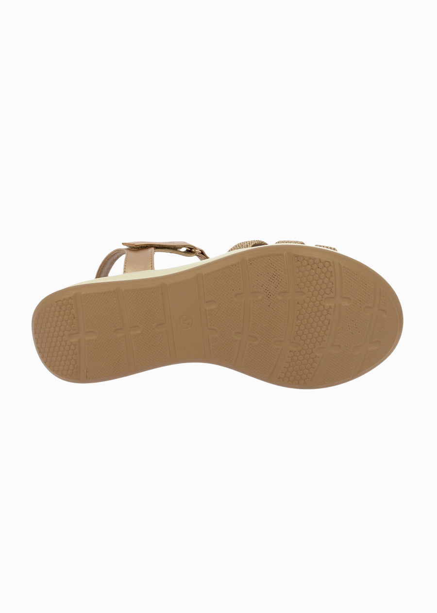 31616 Bronce