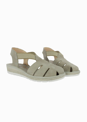 35336 Taupe