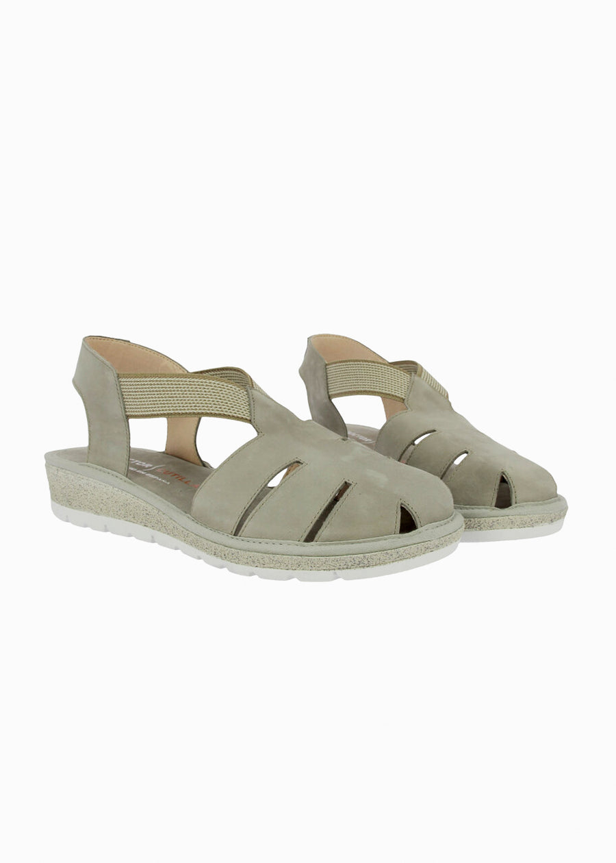 35336 Taupe