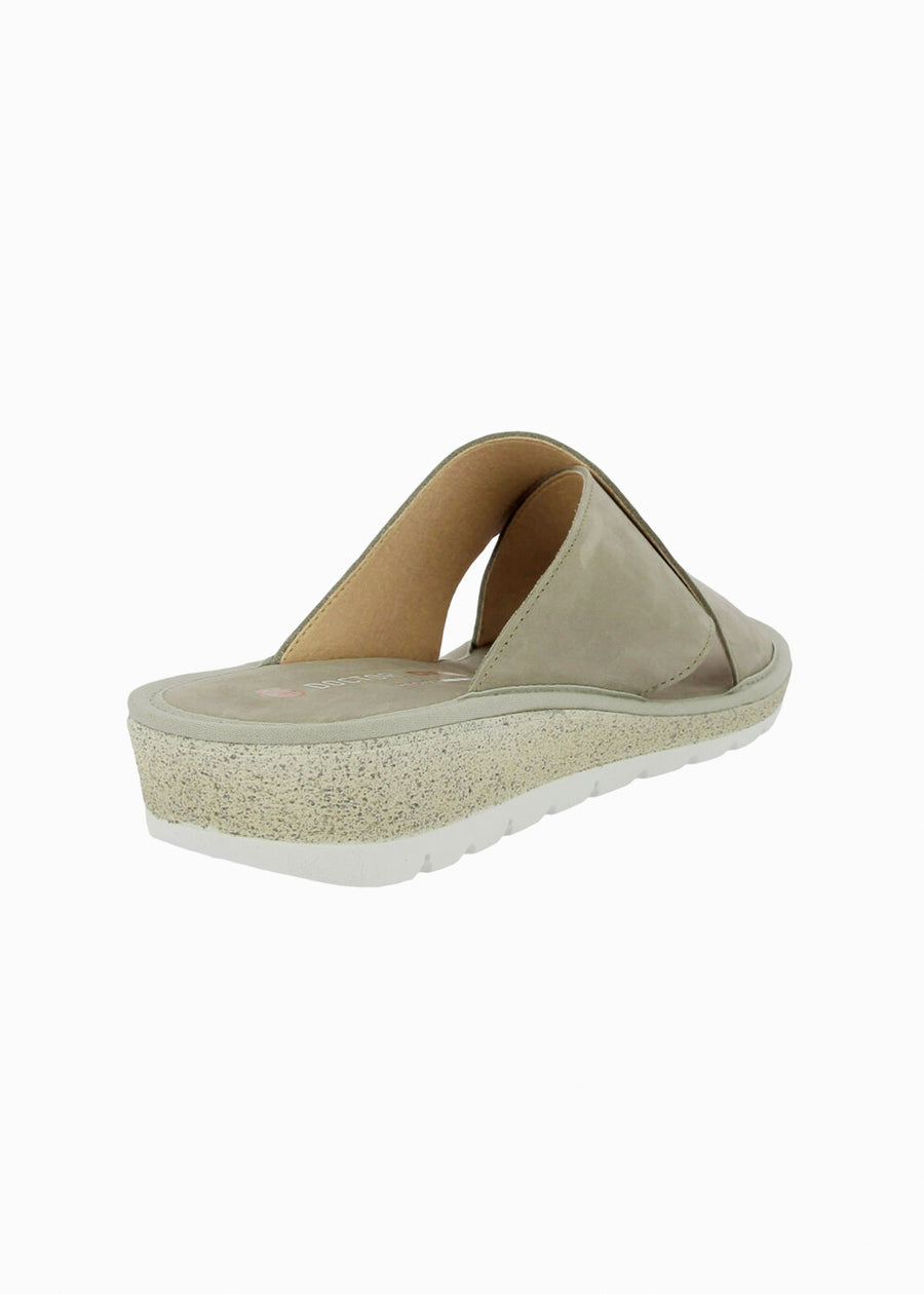 35337 Taupe
