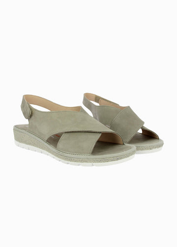 35410 Taupe