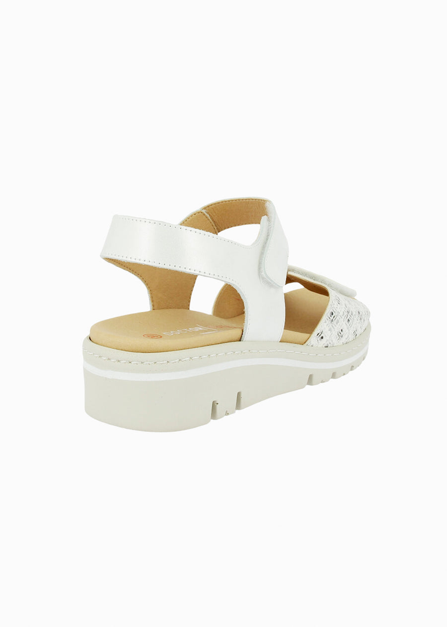 36140 Blanco