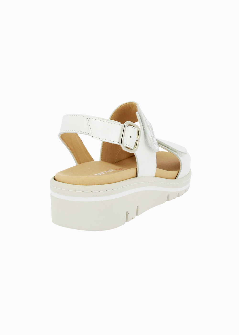 36147 Blanco