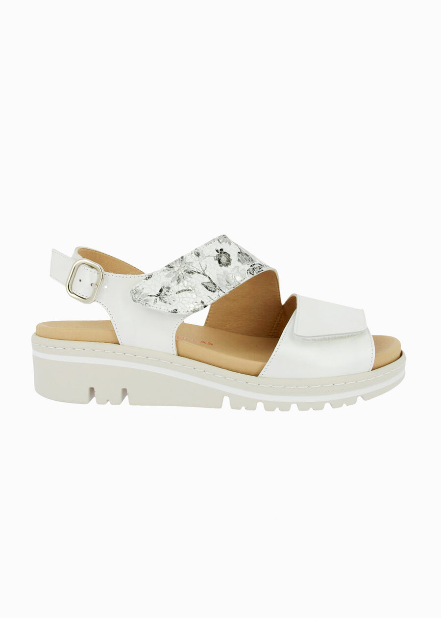 36147 Blanco