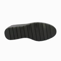 45420 Negro