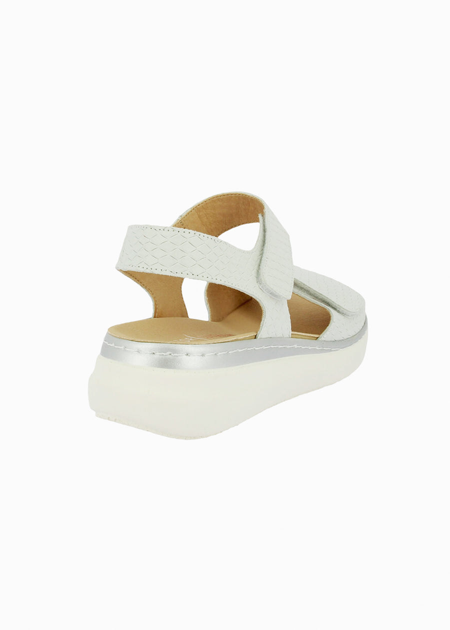46012 White