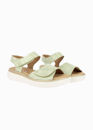 46014 Menta